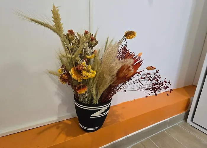 Luxorange * Massy (Essonne)